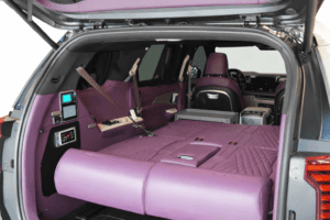 카인드-카니발-블랙앤-보라-에디션